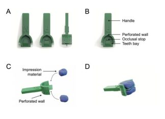 Revolutionary Fish-Friendly Dentistry: Innovative Approach Advances Oral Research Without Causing Harm