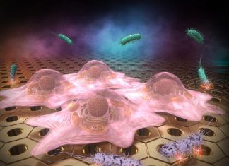 Scientists Develop Bacteria-Repellent Surfaces That Promote Cell Growth