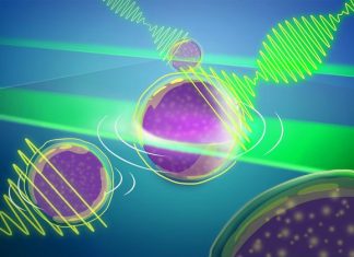 Extending “Custom Made” Microscopy Limits