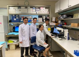 Intra-ImmuSG Focuses on Intracellular Targets for Cancer Immunotherapy