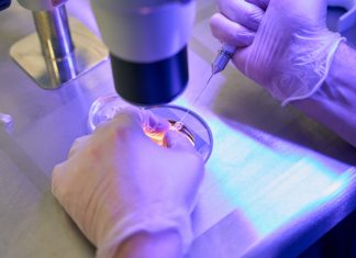 3D Genome Structure Guides Sperm Development