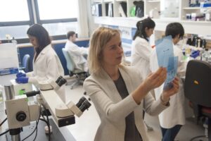 Blinding Cornea Injuries Repaired Using Stem Cells, Clinical Data Show