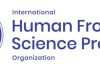 Human Frontier Science Program: Fellowships Awarded to 60 Pioneering Postdoctoral Scientists from 25 Nations