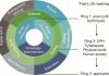 Post-LLM Revolution: Exploring New Frontiers in AI Through Knowledge, Collaboration, and Co-Evolution