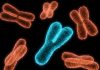 Study uncovers how transposons use telomeres for survival in bacteria