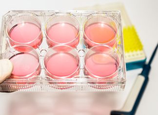 Combining Engineering and Biology to Drive More “Cultured” Therapies