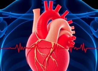 Malignant Arrhythmias Linked to Heart Valve Abnormalities, Study Finds