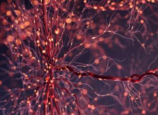 NUZ-001 shows positive results in human 3D brain model