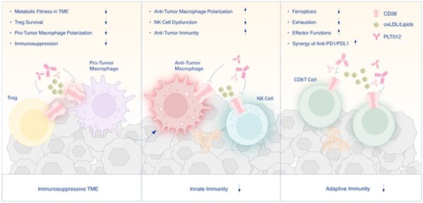 Pilatus Biosciences to Present Research on PLT012 at AACR 2025