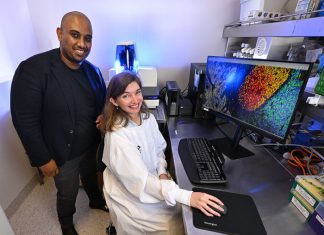 Spatial Biology Reveals Past, Present, and Future Cancer Biology