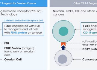 CAR T-Cell Therapy: New Advances Move On Past Setbacks