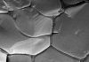 Scientists Simulate the First Ever RNA Self-Replication Process