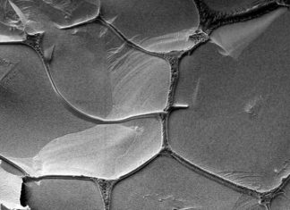 Scientists Simulate the First Ever RNA Self-Replication Process