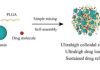 Nanoparticle Drug Delivery System Improves Stability and Drug Loading