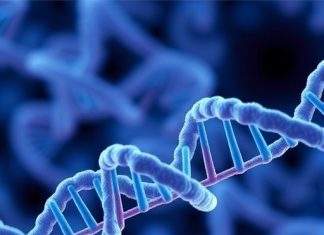 RNA Therapeutics: Unlocking Healthy Aging Potential