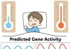 Biological Clock Temperature Cycles Explained by Waveform Distortion