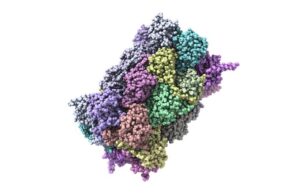 Many More Misfolded Proteins May Contribute to Alzheimer’s and Dementia than Previously Identified