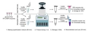 Rapid Pathogen Detection in Low-Resource Settings Using Open-Source RT-LAMP Assay