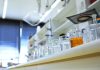 Targeting GLUD1 shows promise in restoring muscle function in Duchenne muscular dystrophy
