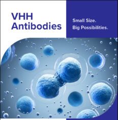 VHH Antibodies: Small Size. Big Possibilities.