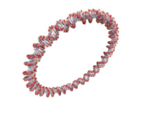 Wacker and Gearbox Biosciences Join Forces on Plasmid DNA Manufacturing