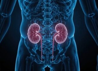 Aptamer signs therapeutic development agreement with Invizius