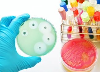 Exosomes carry key indicators of biological aging