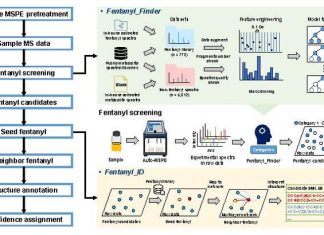 Fentanyl-Hunter: Machine Learning–Driven Screening for Opioid Metabolites