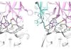 Galux Demonstrates De Novo Antibody Design With Structural and Functional Validation Across Eight Targets