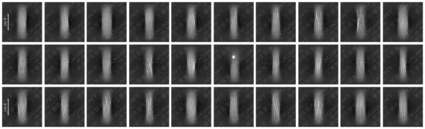 GLOBAL FIRST “High-Definition Image”: Decoding the “Code of Youth” – LivingPhoenix’s POGMENT Collagen Breakthrough Fills Global Gap