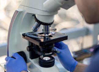 Using Human Organoids to Understand the Biology of Exposomes