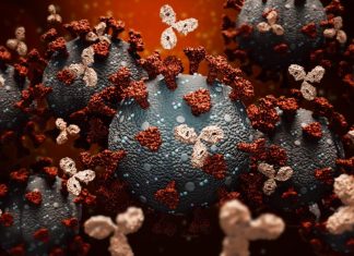 Ginkgo Bioworks Awarded Project Agreement Through BARDA’s BioMaP-Consortium