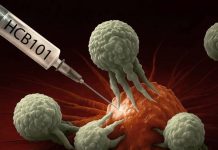 HanchorBio Presents Two Late-Breaking Abstracts at the Society for Immunotherapy of Cancer 2025 Demonstrating Best-in-Class Potential of HCB101 in Advanced Cancers