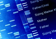 Shift Bioscience publishes improved metric calibration framework for robust genetic perturbation modeling using AI Virtual Cells