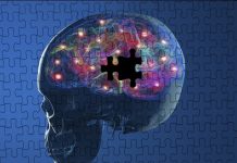 UBQLN2 liquid droplets emerge as key catalysts of early α-synuclein aggregation