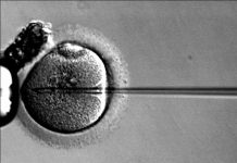 EpilepsyGTx raises $33 million Series A to develop single dose gene therapy for focal refractory epilepsy