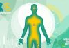 Miroma Project Factory: Powers Clinical-Grade App for One of Australia’s Largest Smoking Cessation Trials