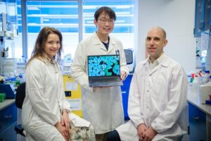 Disarming Antibiotic-Resistant Bacteria That Prevent Healing in Chronic Wounds