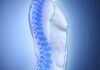 New exercise-sensing pathway offers hope for osteoporosis treatment
