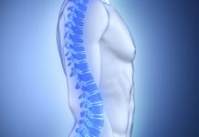 New exercise-sensing pathway offers hope for osteoporosis treatment