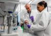 Hormone-Regulated Immune Cells Implicated in Longer Lasting Pain in Women