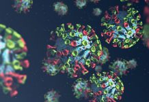 CDC tracks SARS-CoV-2 BA.3.2 global rise and finds early signals in U.S. wastewater