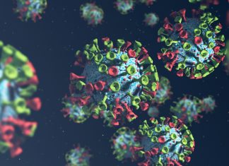CDC tracks SARS-CoV-2 BA.3.2 global rise and finds early signals in U.S. wastewater