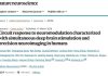 From SCAN to SPARK: Galaxy Brain Scientific Enables a New Paradigm in Non-invasive, Personalized Precision Treatment for Parkinson’s Disease