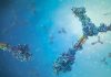 ProImmune and the Roslin Institute collaborate to advance animal health science