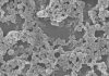 Simplified nanoparticles “educate” the immune system to find and destroy disease-causing cells