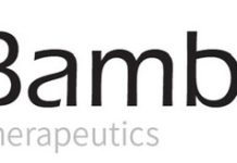 Bambusa Therapeutics Completes Patient Enrollment in the Phase 1b/2a Trial Evaluating BBT001 as a Treatment for Atopic Dermatitis