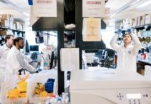 CRISPR Screens Map Human T‑Cell Genes That Promote or Block HIV Infection