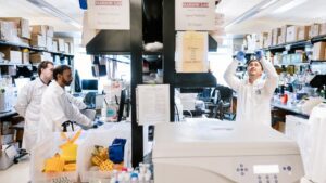 CRISPR Screens Map Human T‑Cell Genes That Promote or Block HIV Infection