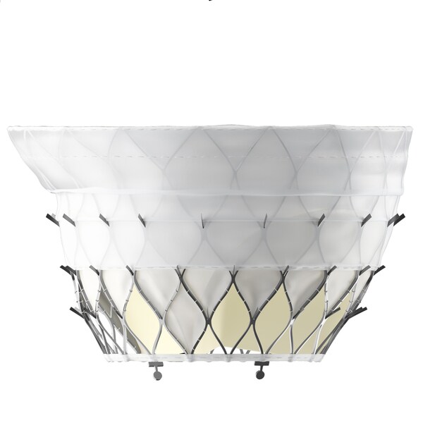 First Implant of KingstronBio’s ProStyle M® Transcatheter Mitral Valve System Successfully Completed in National Multicenter Confirmatory Study